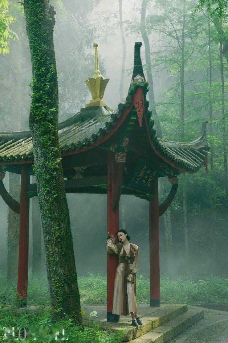 克服困难，实现梦想