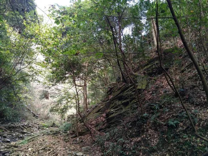 春联寄托年味浓 挥毫泼墨讲禁毒