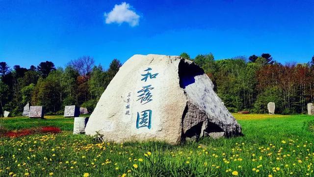 照顾小兔宝宝