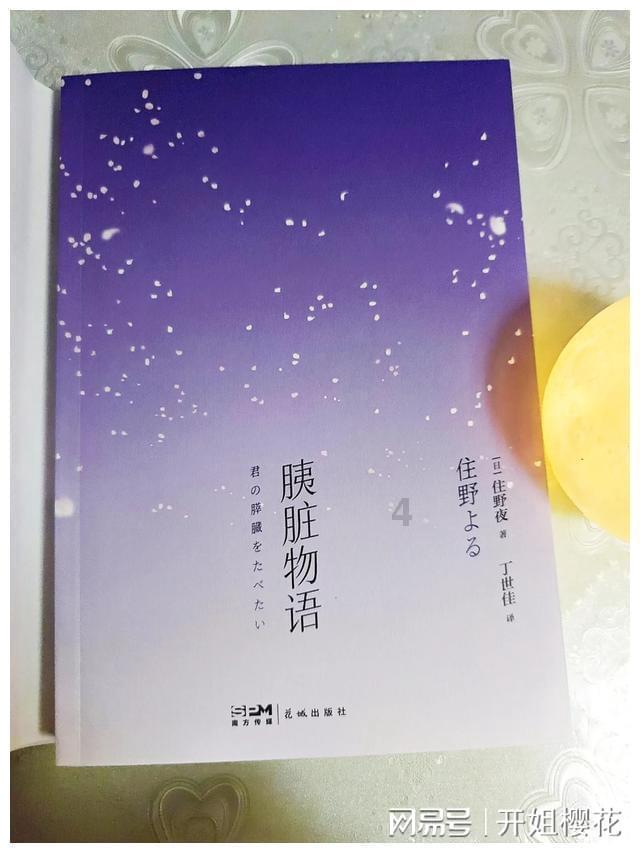 探索自由之战官网下载的魅力 - 红迪网平台