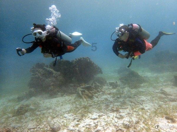 立新出圈,济南城市消费再现“银座新时代”