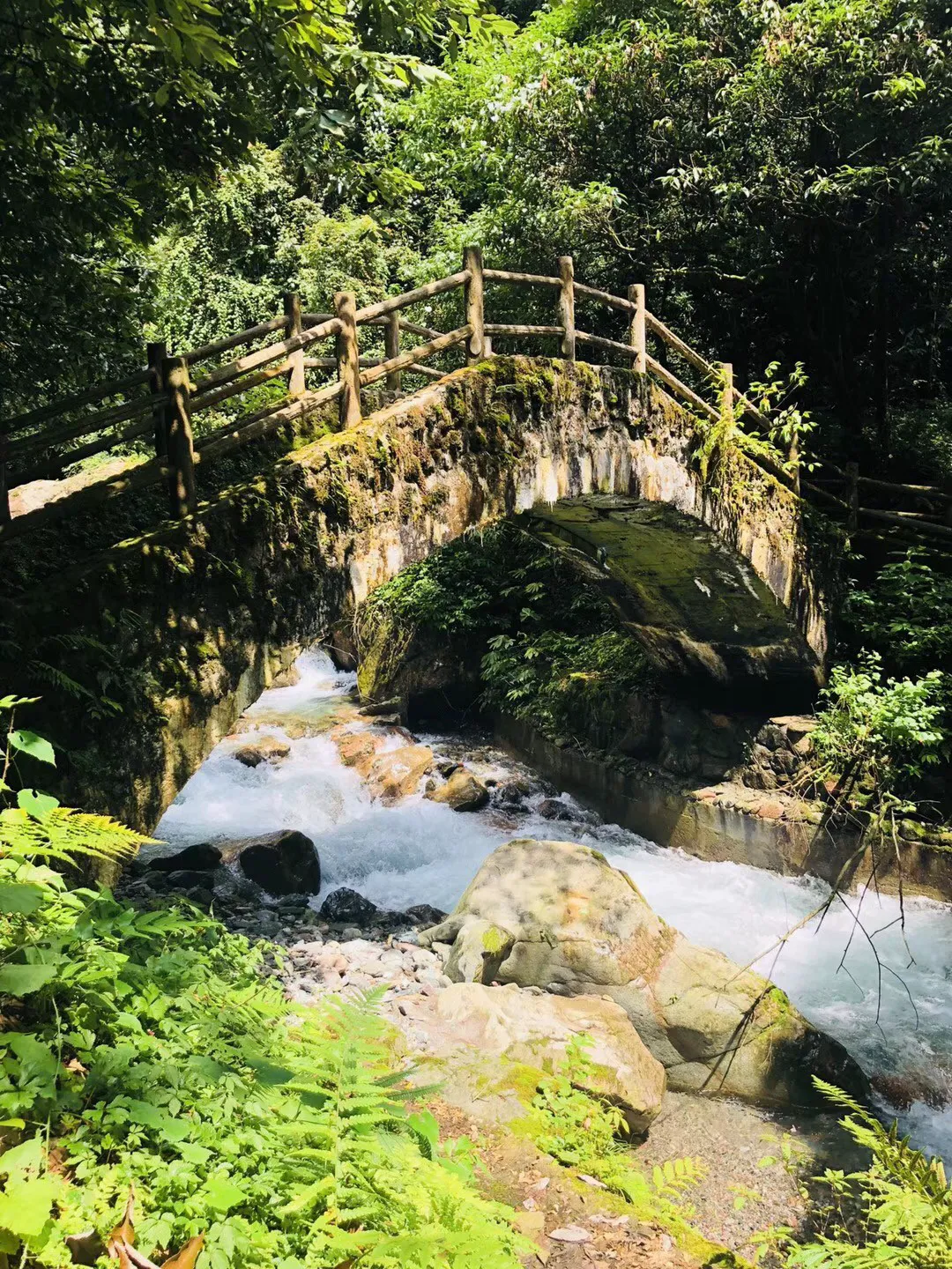 这个春节有口福了!温室大樱桃提前上市,供应全国市场