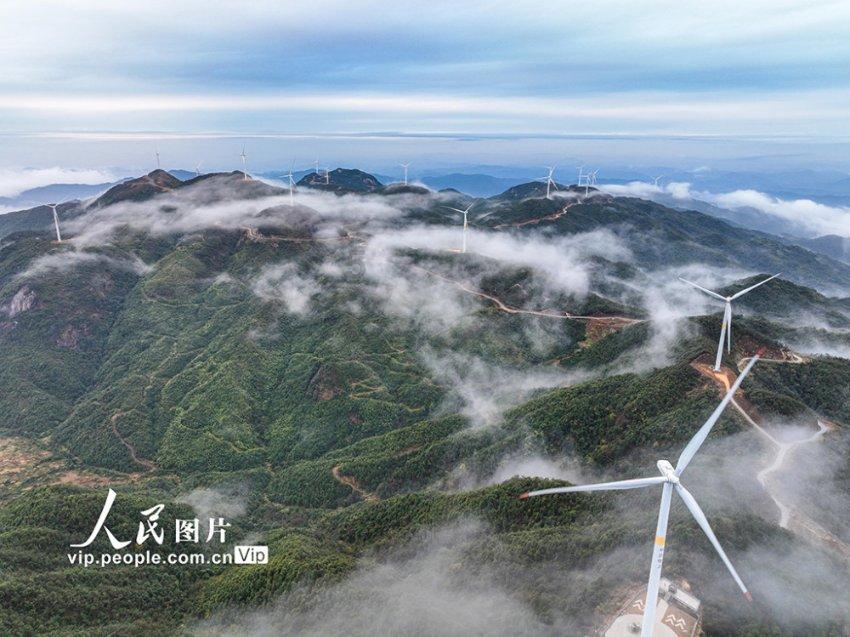 请问测食品中铝含量费用多少？游戏画面